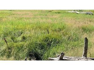 Terrain 730 m² Le Taillan Medoc