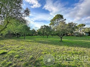 Terrain agricole avec garage Roquebrune Sur Argens 5170 m2