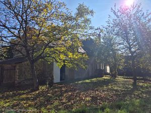 Maison à rénover 180 m² 14 pièces ORSENNES (36) terrain 2 Hectares dépendances puits proch