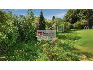 Maison jardin 4 pièces 74m2 Versailles Montreuil