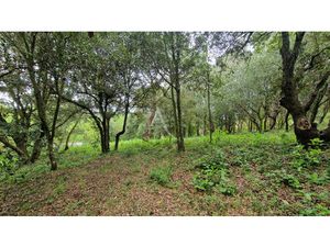 Achat Terrain 2 516m² PALAJA 11570