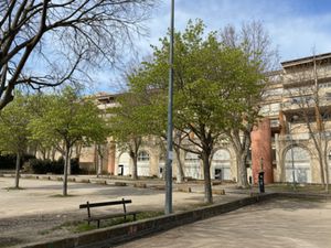 Local d'activité Arles quartier Alyscamps