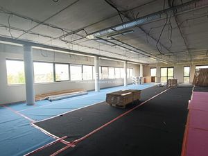 Location Local Professionnel 352m²