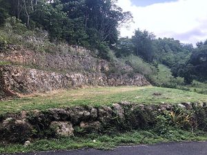 Terrain d'exception en pleine nature  calme et tranquillité assurée.