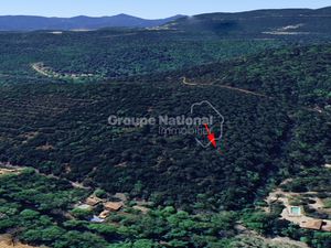 Terrain non constructible de 4 4Ha