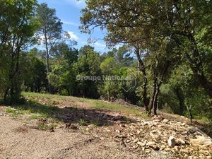 Terrain constructible de 1613m²