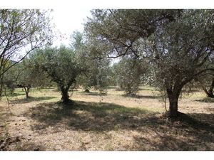 Terrain constructible plat - 2038 m²