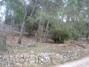 Terrain 2400 m2 - Vidauban