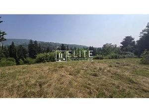 TERRAIN CONSTRUCTIBLE 3070m² AU CALME CHATEAUNEUF