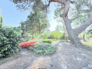 DOMAINE Cesseras 19 pièce(s) 496.83 m2