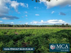 Annonce vente terrain terrain de 672m2 à Laluque (40465) - ParuVendu.fr ref 992784362456