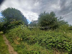 Parcelle de bois au calme