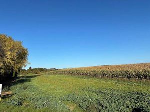 Terrain constructible viabilisé à vendre