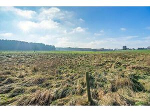 Terrain à bâtir à vendre à Rue des Socquettes 0 Paliseul (VBD71182)