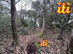 Vente Terrain aux Sables-d'Olonne (85100) : à vendre / 707m² Les Sables-d'Olonne