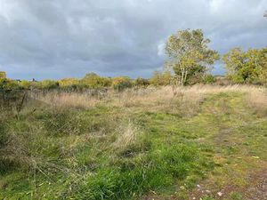 Vente Terrain à Denée (49190) : à vendre / Denée