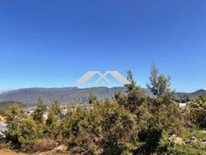 Belle parcelle Plaine Des Cafres