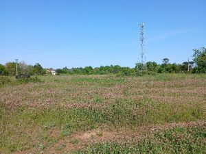 en vente Terrain constructible 230 ares – 70 000 € |Saint-Martin-de-Ribérac