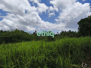 Terrain à vendre Sainte-Rose