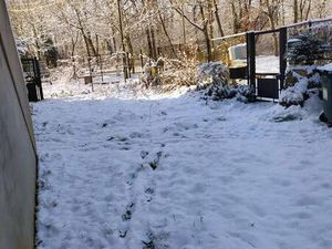 Maisons-Laffitte (78600)