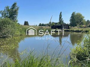 SAFTI BACH Marie conseiller indépendant