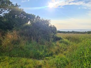 Terrain à vendre CROZON 2140m2 7 280€