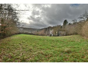 Achat Terrain 2 958m² VIGEOIS 19410