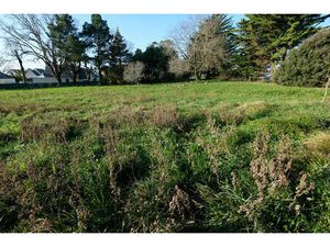 Achat Terrain 1 151m² SARZEAU 56370