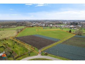 Grond te koop in Beerzel