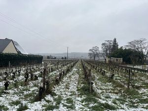 Achat Terrain 2 282m²