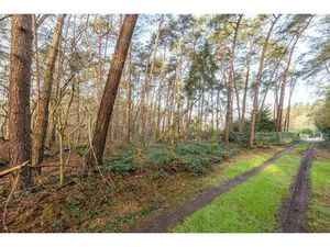 Terrain agricole à vendre à Huls 67 Vorselaar (RBU99746)