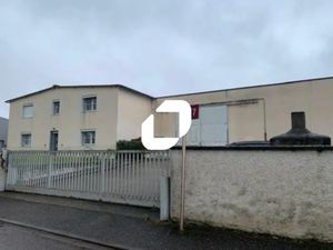 Location Local d'activités Saint Laurent De Mure 69720