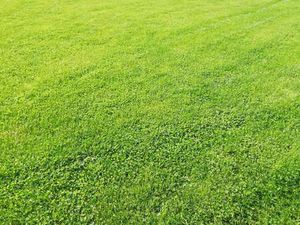 Vente Terrain à Lamballe (22400) : à vendre / Lamballe