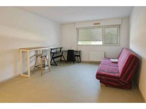 efficity Dimitri Guillon