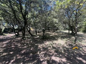 Terrain Constructible Donzère 1248 m2