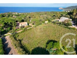 Terrain à vendre - 2027 m2 - Corbara - 202 - CORSE