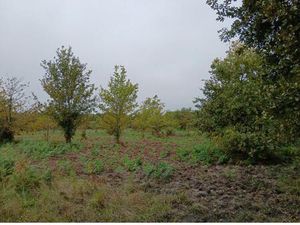 Terrain à bâtir à Sainte-Eulalie-en-Born (40200)