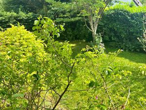 VAUCRESSON: A proximité immédiate du centre ville 