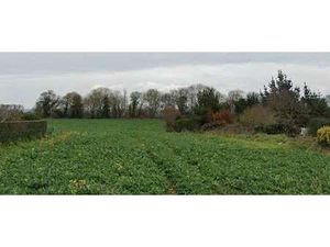 Vente Terrain à Saint-Cast-le-Guildo (22380) : à vendre / Saint-Cast-le-Guildo