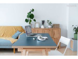 Actif en CDI recherche T2/T3 – Lyon et alentours