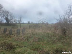 Terrain agricole non clôt