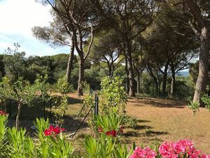 Loue Beau T2 au calme