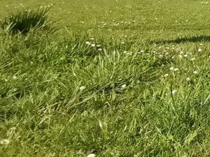 Vente terrain 616 m² Périgueux (24000)