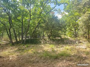 Terrain boisé non constructible