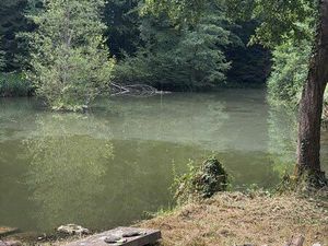 Terrain avec étang + bois