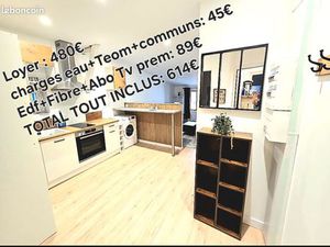 Appartement T2 meublé et rénové hypercentre Foix