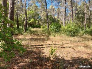 Terrain 1 200 m² Bagnols En Foret