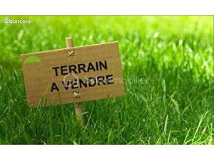 Terrain 9 851 m² Sainte Agnes