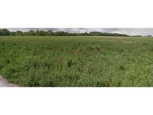 Terrain 870 m² Juniville