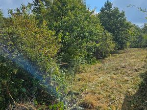 Terrain 990m2 domerat